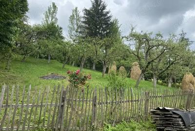 Casă cu 4 camere în Malu cu Flori - 1