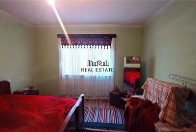 Teren generos si casa din caramida in satul istoric Tebea - 2