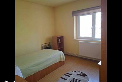 Apartament cu 2 camere decomandat în Brazda lui Novac - 4
