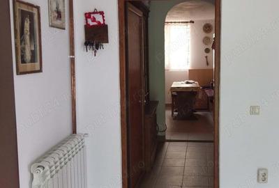 Casă cu 5 camere cu Teren 4200 Mp în Băile Herculane - 6