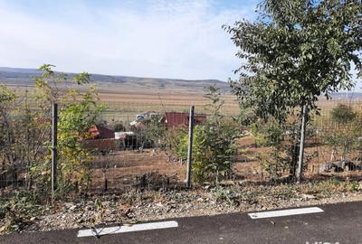 Teren de 520 mp, în Muntenii de Jos - 2