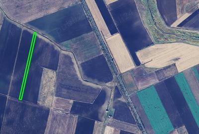 Teren de 10000 mp, în Becicherecu Mic - 2