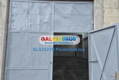 9005 Inchiriere hala 470mp Chitila-Rudeni - 3