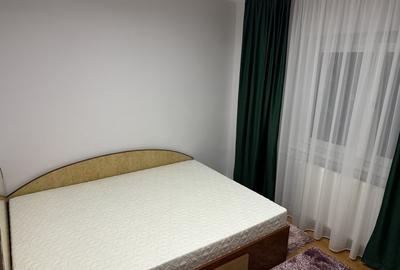 Apartament 2 camere ultramobilat și utit  etaj 2-4 , Brazda lui Novac , - 12