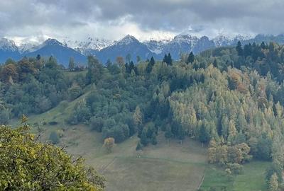 Teren extravilan cu priveliste catre Bucegi – Moieciu de Jos 4.700 mp - 5