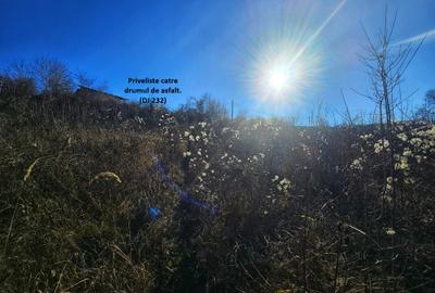 Teren Construcții intravilan de 2000 mp, în Seciu - 2