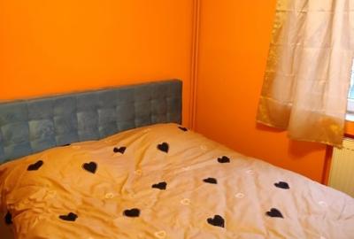 Apartament cu 2 camere semidecomandat, mobilat în Șagului - 4