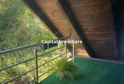 Casa noua pe drumul Lupacului - 4