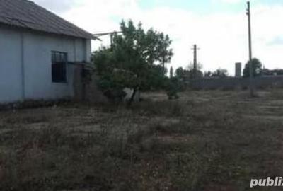 Spațiu comercial, de 8,438 mp, în Cobadin - 4