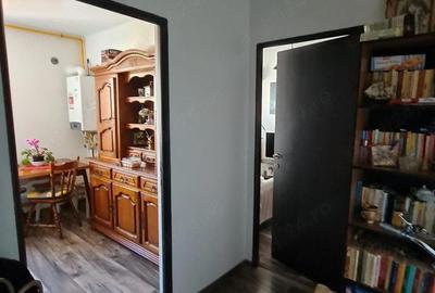 Apartament cu 2 camere semidecomandat în Traian - 2