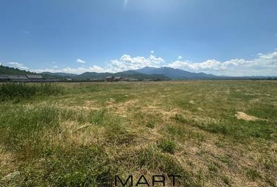 Teren Intravilan Rasnov 7.500 mp - 3