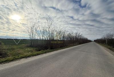 Teren de 6600 mp, în Lazuri - 5