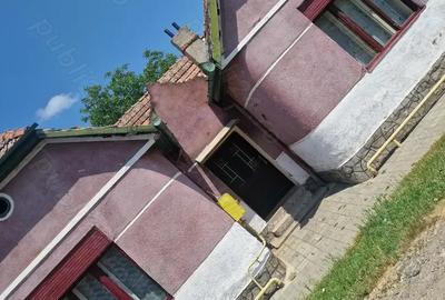 Casa de vanzare aproape de strand termal ?i centru Deta la 45 km de Timisoara - 1