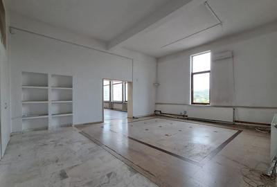 Spatiu comercial suprafete intre 130-87-217 mp zona Plevnei - 9