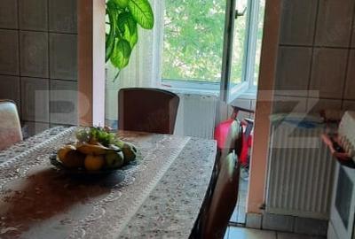 Apartament cu 2 camere, decomandat - Deva, zona linistita - 4