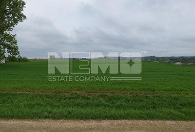 Teren Construcții intravilan de 3931 mp, în Iacobești - 1