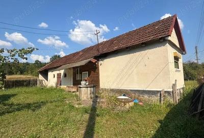 Casă cu Teren 3000 Mp în Groși - 1