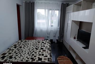 Garsonieră în Șagului