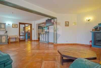 Hotel/Pensiune, de 2,950 mp, în Pănicel - 24