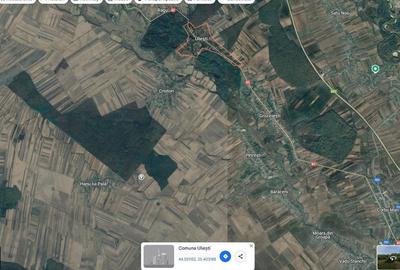 Teren de 10000 mp, în Uliești - 6