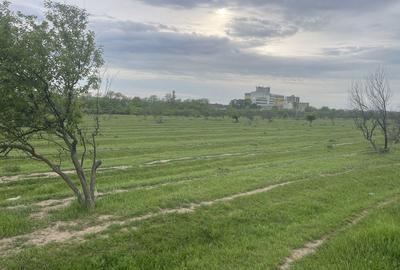 Spațiu comercial, în Cârcea - 2