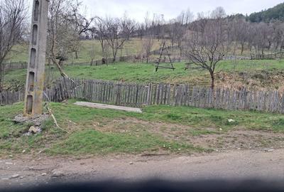 Spațiu comercial, în Teșila - 2