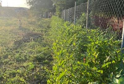 Teren intravilan pe Strada Principală – Faraoanele, Vârteșcoiu - 1