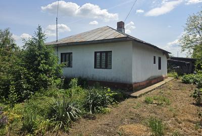 Casă individuală cu 3 camere cu Teren 2100 Mp în Dor Mărunt - 4