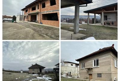 Casă cu 2 camere cu Teren 1800 Mp în Peștișu Mare - 3