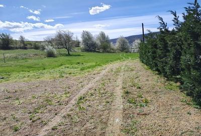 Teren de 3100 mp, în Moldovenești - 4