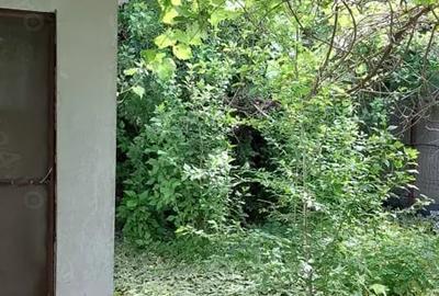 Casă cu 4 camere în Murighiol - 1