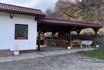 Proprietate multifuncțională sub pădure – locuință principală + spațiu de relaxa - 9