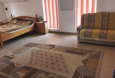 Apartament semidecomandat în Paltin - 1