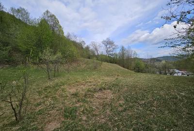 Teren intravilan 1454 mp la marginea padurii zona locuita de case! - 7