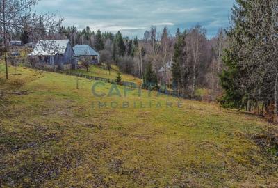 Teren constructie CABANA/CASA,  2980 MP cu utilitati, Dealu Negru, Calatele - 4