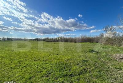 Spațiu comercial, în Râncăciov - 1