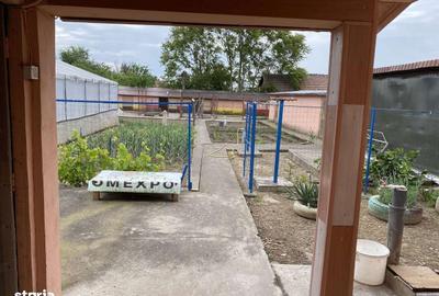 Casă cu 5 camere cu Teren 1000 Mp în Putineiu - 6