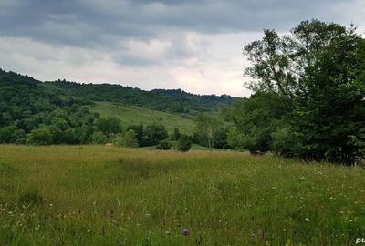 Teren de 3013 mp, în Valea - 6
