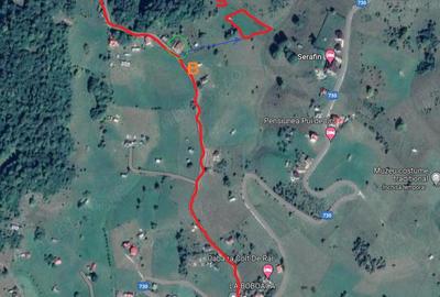 Teren de 3000 mp, în Ciocanu - 2