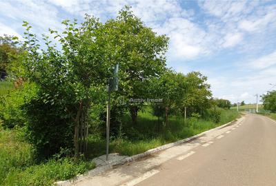 Teren intravilan - 2400 mp - 3 cabane din lemn modulare - Li - 2