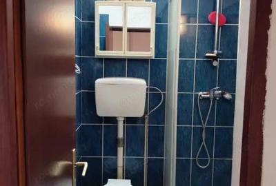 Apartament la casa 2 camere Calea Dumbravii - 13