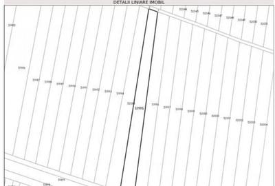 Teren extravilan, loc Obarsia, Jud Olt - 10