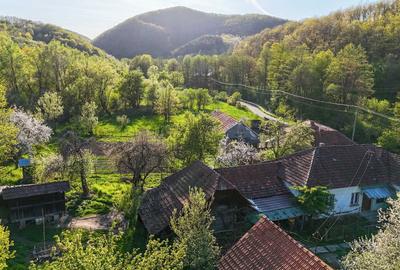 Casă cu 4 camere în Burjuc - 5