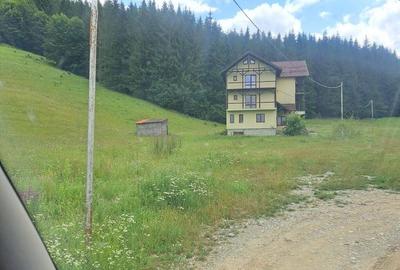 Teren de 2500 mp, în Valea Doftanei - 5