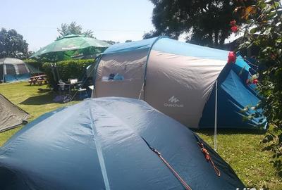 Casă cu 11 camere cu Teren 2200 Mp în Crișan - 3