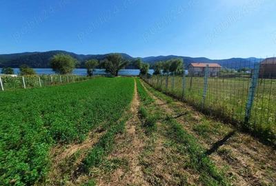 OCAZIE!!! Teren 2500mp, Berzasca-Liubcova, FS20m fata-spate - 11