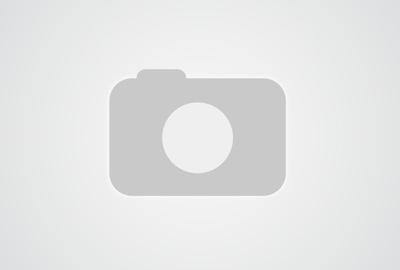 Inchiriere Garsoniera in vila, - 11