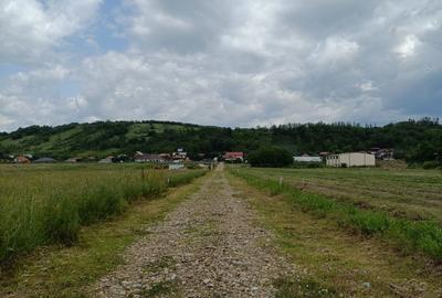 Spațiu comercial, în Central - 2