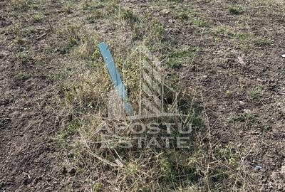 DE VANZARE – Teren 758 mp, zona Metro 2 – cu potential excelent de dez - 2