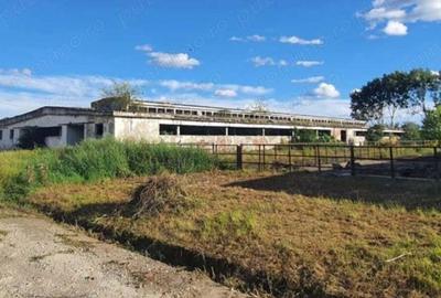 Teren de 5000 mp, în Remetea Mare - 5